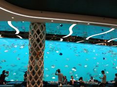 -瑞德姆美人鱼海底演艺主题餐厅(亚龙湾店)