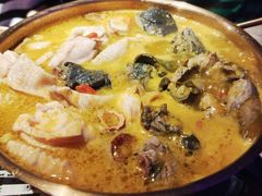 -Darling Queen·Mini·Live·House