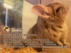 -龙猫仔乐园(惠福东路店)