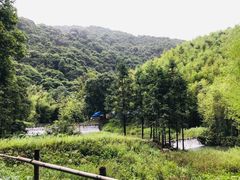 -千泷沟大瀑布旅游区