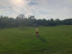 -上海海湾国家森林公园