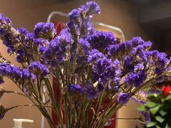 -和悦SPA·采耳(聚丰园路店)