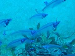 -常州海昌海洋探索馆
