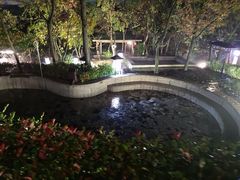 -汤山温泉房车营地 茶温泉