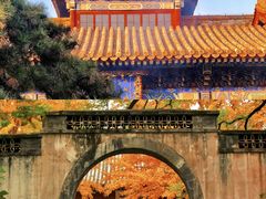 -沉浸北京·团建旅行·密室剧本杀·年会会议轰趴拓展