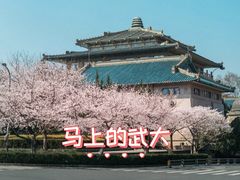 -武汉大学-樱园