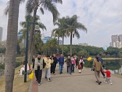 -南宁南湖公园