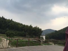 -宁波浙东大竹海景区