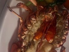 -Kathleen's Waitan 凯圣琳江景西餐厅(外滩店)