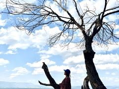 -抚仙湖禄充风景区