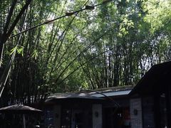 -勐丽梦兰傣味餐厅