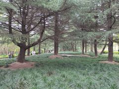 -黄兴公园