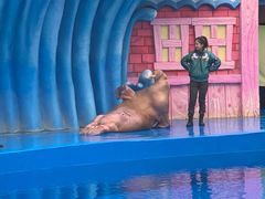 -华夏文旅海洋公园