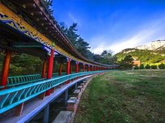 -大芦花风景区