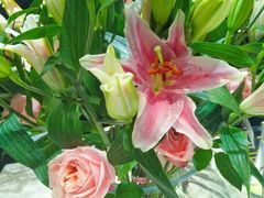 -味界·精致赣菜(招商花园城店)