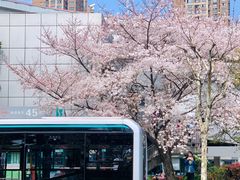 -南浦大桥长途旅游客运站