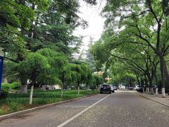 -山东师范大学(千佛山校区)
