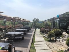 -蘇河湾·新鲁菜·泰山宴(泰山店)