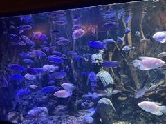 -华夏文旅海洋公园