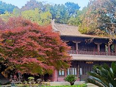 -团城山公园