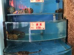 水产区-万山楼海鲜酒家·二十三年老字号