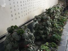 -寂照庵