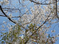 -苏州河梦清园环保主题公园