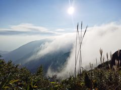 -大围山国家森林公园
