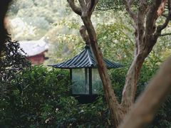 -秋霞圃