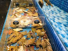 -蓝钻·国际美食海鲜自助百汇(西直门店)