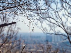 -抱犊寨风景区