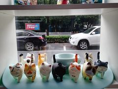 -萌兽医馆·宠物医院·猫骨科(创景店)