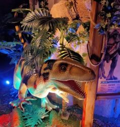 -恐龙探索乐园(磁器口店)