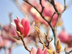 -烈士陵园(地铁站)