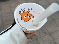 -CoCo都可(江宁托乐嘉店)