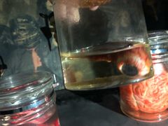-秃鹫湾·推理大师沉浸式实景演绎推理剧场