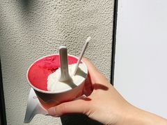 -Dip in Gelato(富民路店)