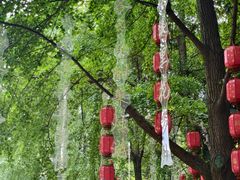 -成都市活水公园