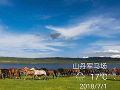 -山丹皇家马场