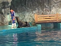 -威海华夏城景区