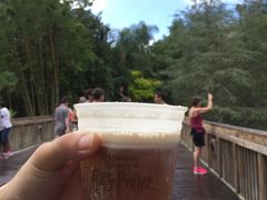 -奥兰多环球影城