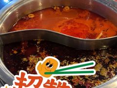 -胡掌柜·火锅串串香(安国市店)