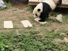 -南昌动物园