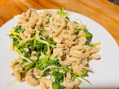 芫爆肚丝-新月斋(豆瓣胡同店)