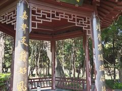 -嘉定紫藤园
