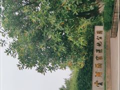 -重庆彩云湖湿地公园
