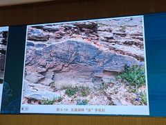 -四川大学博物馆