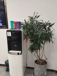 -星豆豆儿童摄影(南郊太白南路店)