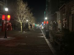 -捞王猪肚鸡火锅(财富中心店)