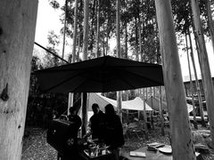 -桉树林A coffee 森林餐厅(三圣乡店)
